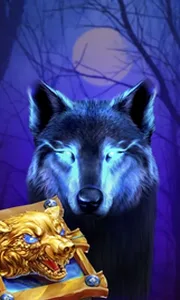 Book Of The Night Wolf