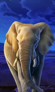 African Elephant
