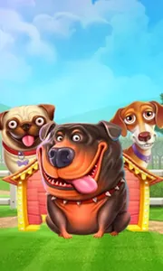 The Dog House